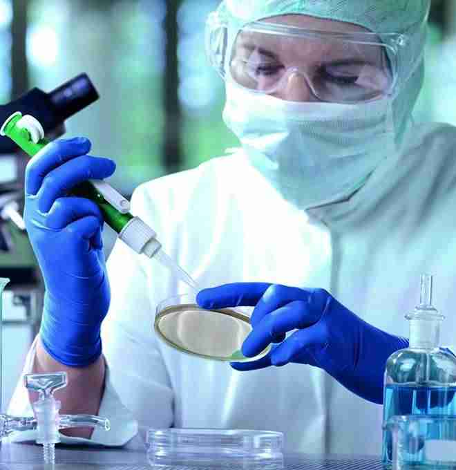 Laborant mit Sänger Chemoflex Latex Handschuhen bei präziser Arbeit im Labor, ideal für medizinische und industrielle Anwendungen.