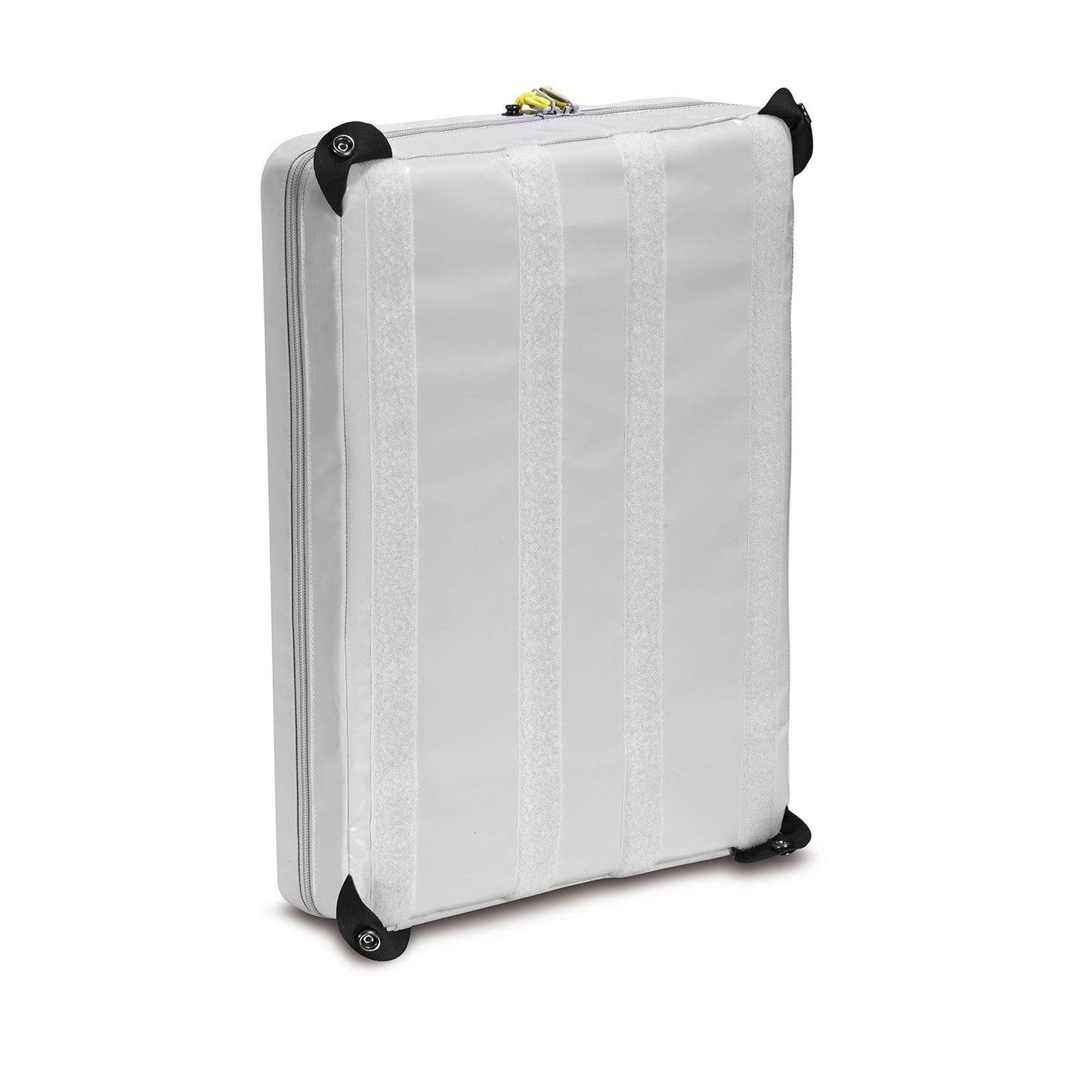 Mittelwand Ampullarium PAX - Medasi.shop - 202180310