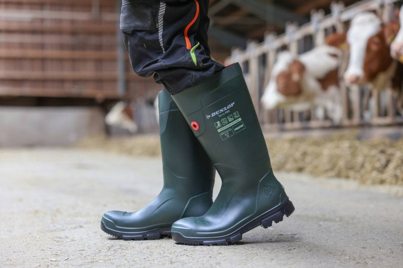 Dunlop® Purofort® TerraPRO S5 Sicherheitsstiefel im Einsatz im Stall. Perfekte Gummistiefel S5 für Landwirtschaft und kalte Temperaturen bis -20 °C.