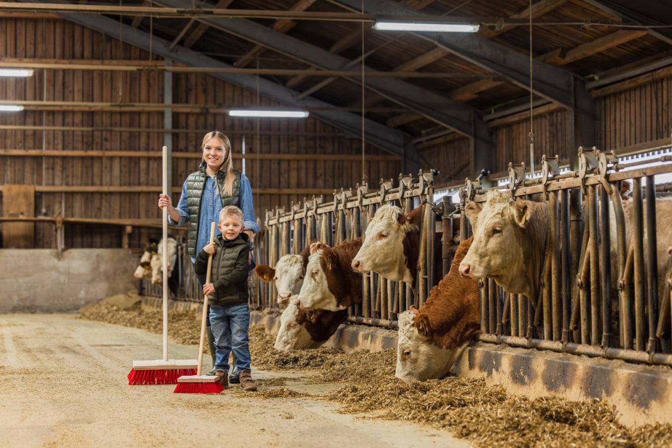 Straßenbesen mit Stiel Mini im Einsatz durch Kinder im Kuhstall, perfekt für spielerisches Lernen und Mithilfe im Haushalt.