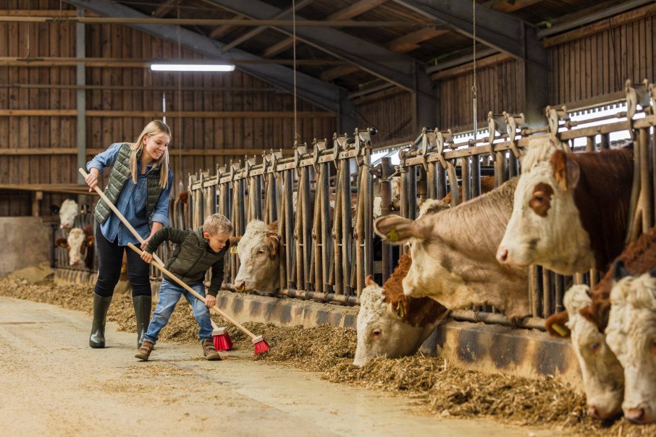 Mutter und Kind fegen mit dem Straßenbesen mit Stiel Mini im Stall, kindgerechtes Reinigungszubehör für den landwirtschaftlichen Einsatz.