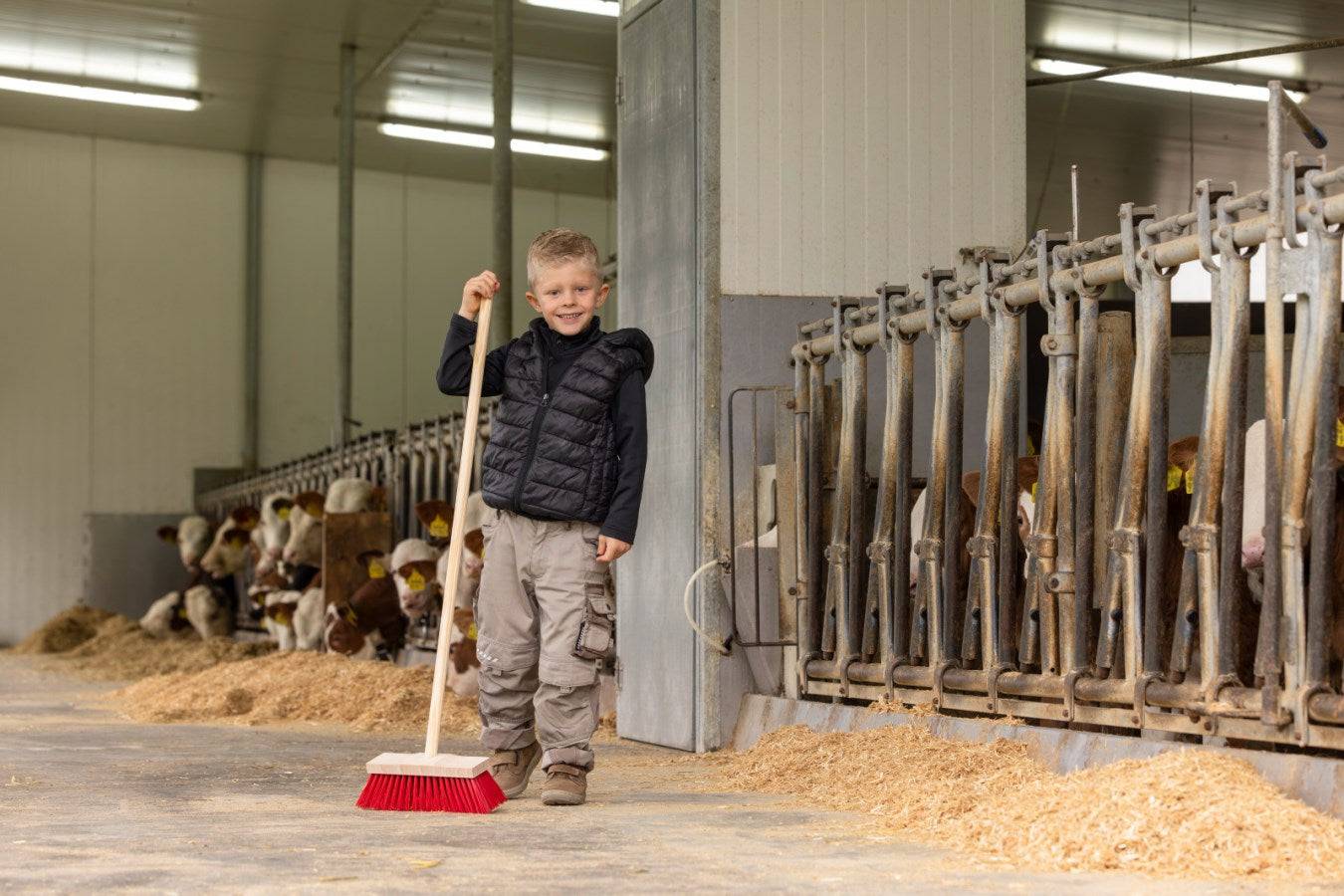 Junge mit Straßenbesen mit Stiel Mini beim Fegen im Kuhstall, ideal für Kinder zur Mithilfe im Haushalt oder auf dem Bauernhof.